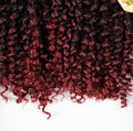 Havana Twist Hair Crochet braids Synthetic Ombre Braiding Hair Extensions Brazilian Jerry Curly Bundles Kinky Curly Hair Bulk