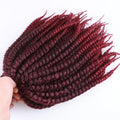 Luxury For Braiding 12" 12strands/pack 4packs/lot  Ombre Brown Crochet Braids Mambo Twist Synthetic Hair Extensions
